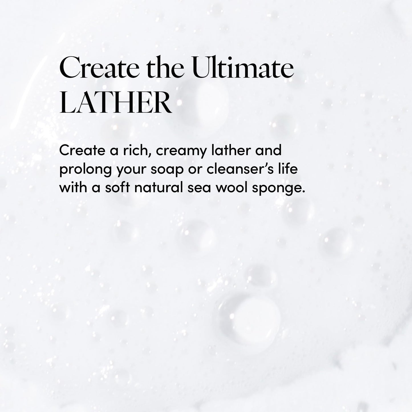 LATHER - Natural Sea Wool Sponge, 4-5" - Organic Exfoliating Body Scrubber - Soft, Gentle Cleansing - Hypoallergenic - All Skin Types - Florida Natural Loofah Sponge - Cruelty Free - Beauty & Skincare