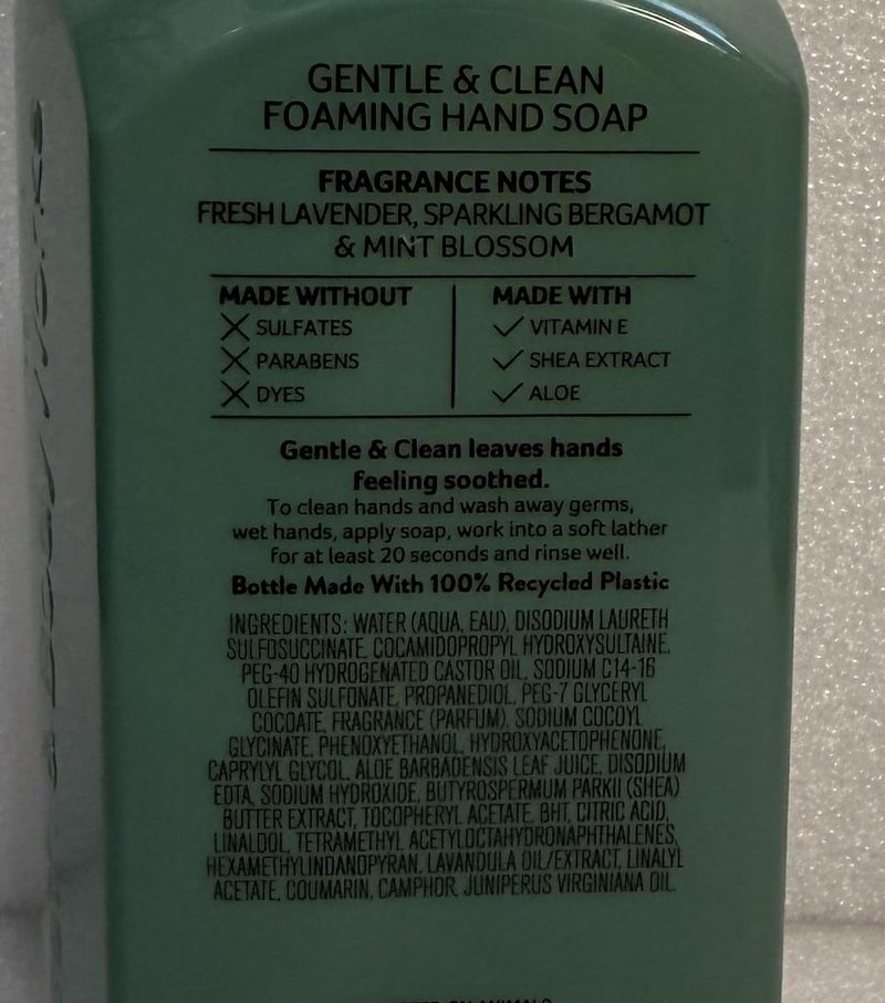 Bath and Body Works Clean House Vibes Gentle Foaming Hand Soap Pack of 2