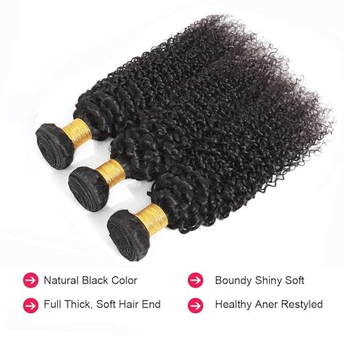 Kinky Curly Bundles Human Hair Bundles Brazilian Curly Hair Bundles 12A Virgin Curly Human Hair Bundles Curly Weave Hair Bundles Natural Black (12 14 16) ¡¦ ¡¦
