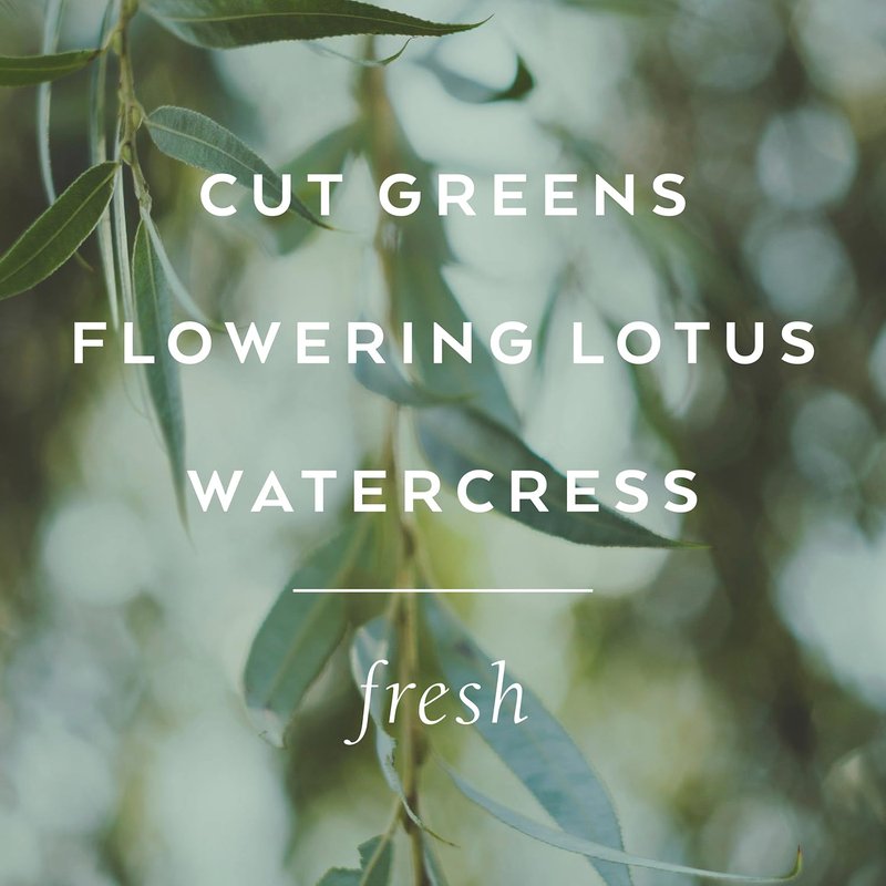 Library of Flowers Willow & Water Eau de Parfum, 1.69 fl oz / 49.7 ml, Cut Greens, Flowering Lotus & Watercress Luxury Perfume for Women, Long Lasting Fragrance, Signature Ladies Essentials