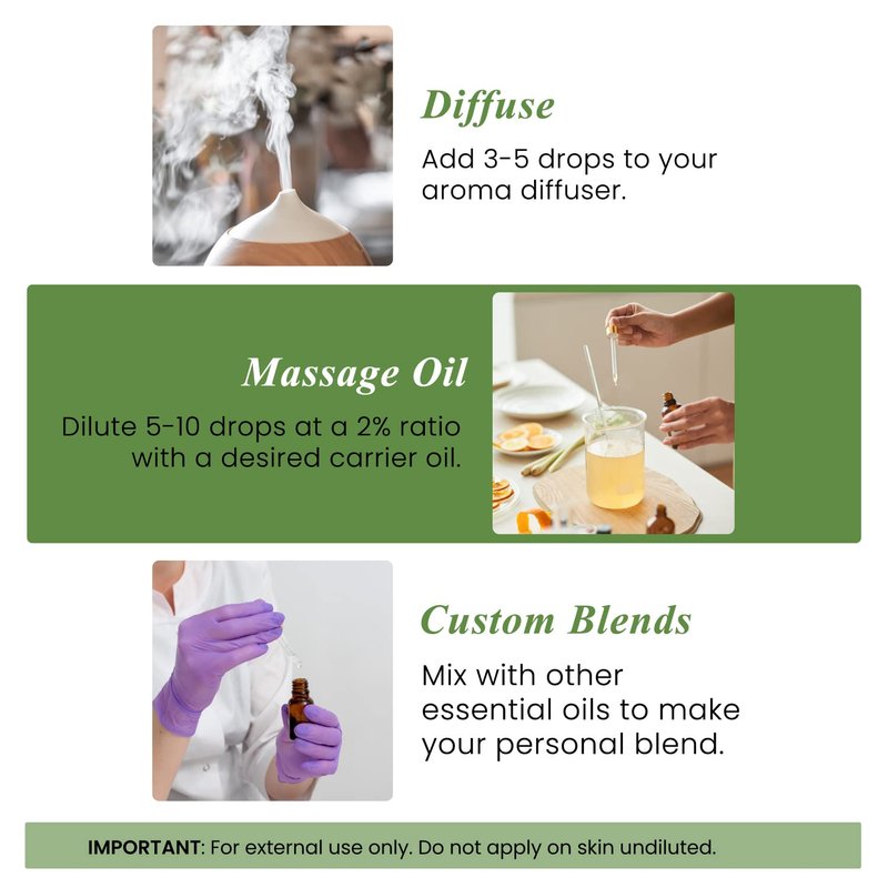 Handcraft Blends Rosemary Essential Oil – Huge 4 Fl Oz – 100% Pure and Natural – Premium Grade Essential Oil for Diffuser and Aromatherapy, Skin, Massage, Candle and Soap Making Fragrance