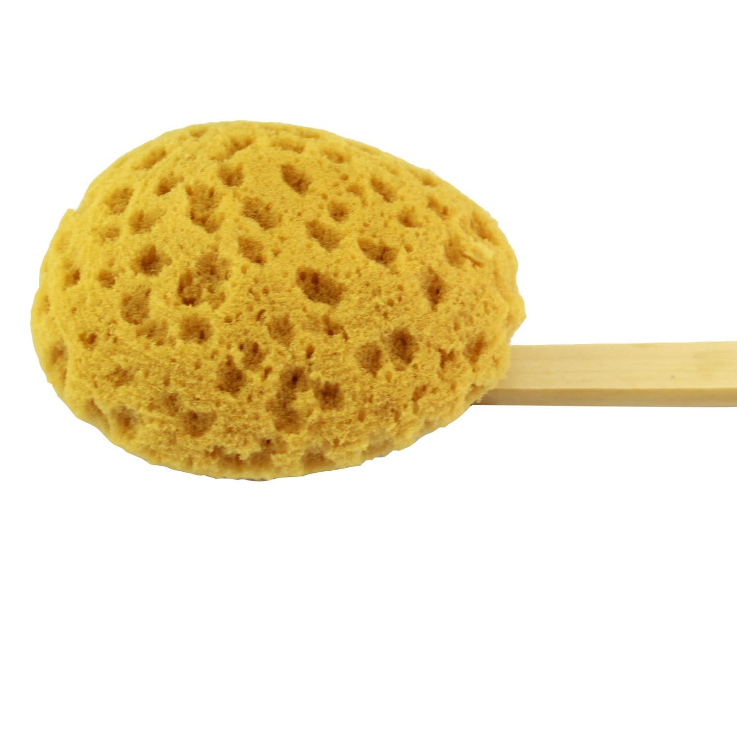 18" 2pcs Extra Long Handle Beechwood Bath Brush with Sponge - Exfoliating & Massaging Back Scrubber for Shower