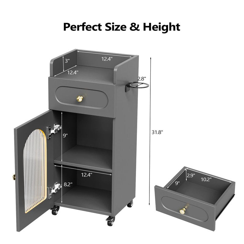 Salon Cart with Wheels & Adjustable Shelf, 3-Tier Rolling Beauty Trolley for Hair Stylist, Barber, Esthetician, Storage Cabinet w/Glass Door & Hair Dryer Holder, Mobile Station for Spa, Tattoo (Gray)