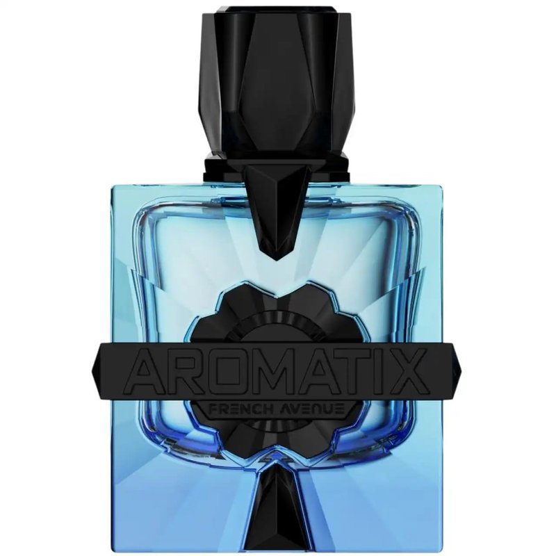 French Avenue Magnetiq Eau De Parfum - Woody Aromatic Fragrance | 3.4 Fl Oz, Long-Lasting Scent for All