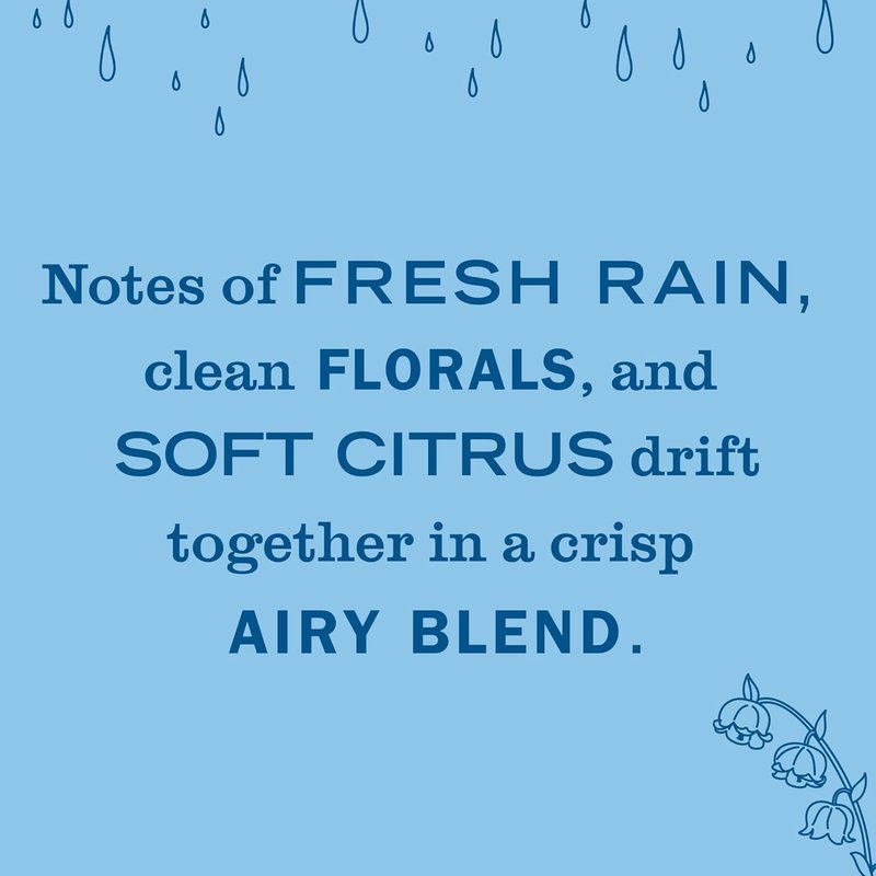 Mrs. Meyer's Clean Day Oil Diffuser Kit - Premium Rain Water Scent | Includes Warmer & 0.67 Fl Oz Refill