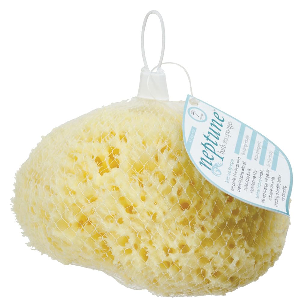 Sea Wool Sponge - All Natural Honeycomb Renewable Sea Sponge, Hand Cut, Jumbo, Approx. 7 Inches