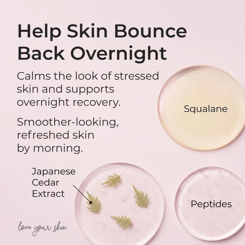 SIMPLE PLAN Hydrating Night Cream with Ceramides & Hyaluronic Acid, Anti-Aging Face Moisturizer for Dry & Sensitive Skin, Nourishing Overnight Face Cream for Women & Men, 50 ml