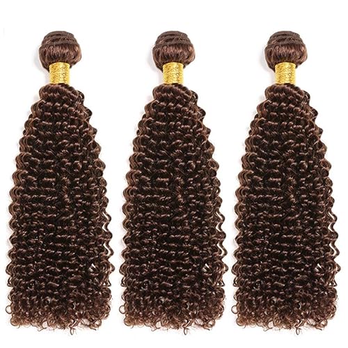 Color 4 Kinky Curly Human Hair Dark Brown Bundles Brown Curly Wave Human Hair Bundles Brazilian Hair Wet and Wavy Bundle Silky Soft(20 22 24) inch