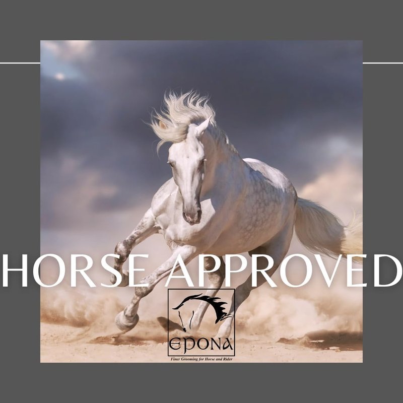 Epona April Power Shower Horse Sponge