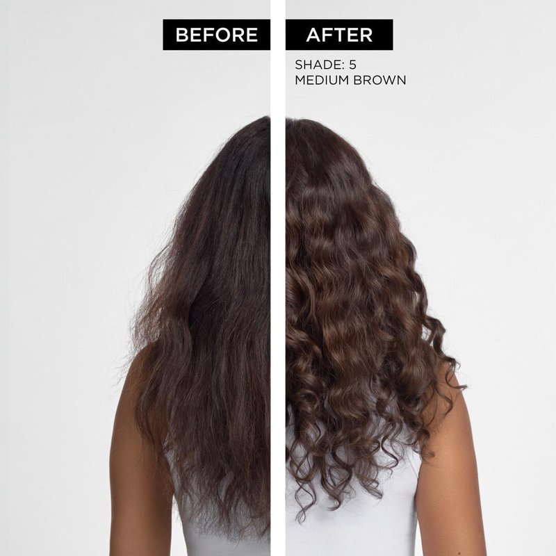 Clairol Nice'N Easy 10 Permanent Hair Dye - Dark Brown Color | Pack of 1