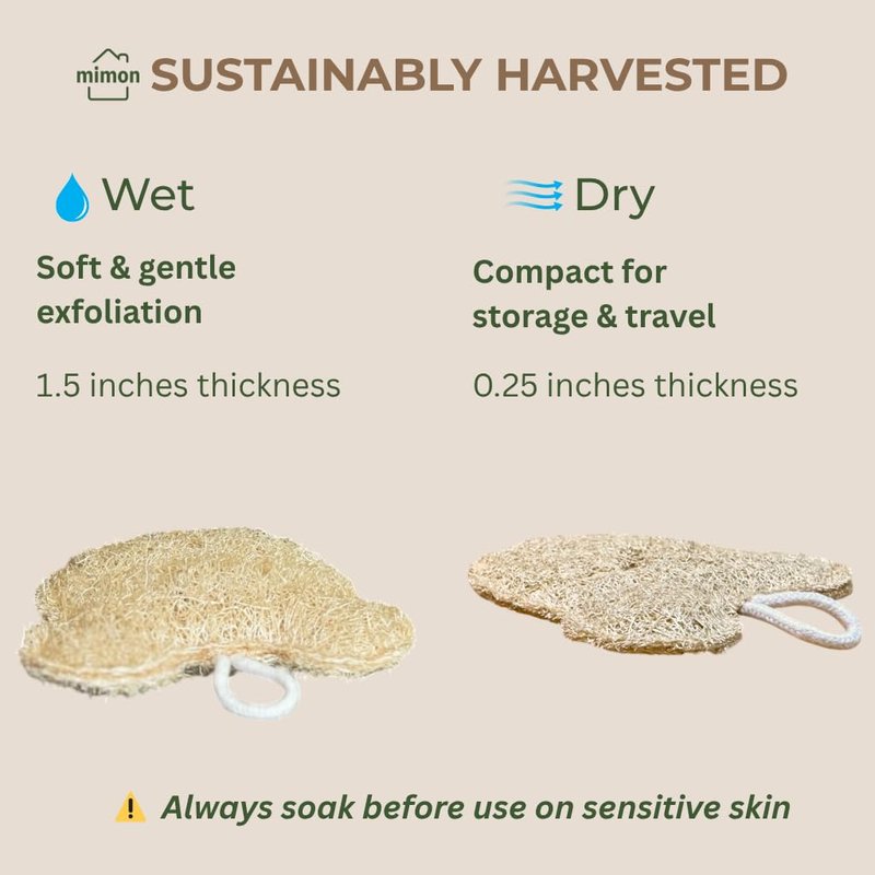 Natural Bear Shape Loofah Sponge, Exfoliating Body Scrubbers (2 Pack), Biodegradable Bath Loofahs Sponge, Gentle, Chemical-Free Bath & Body Loofah for Women, Men and Kids, Made with Natural Loofah