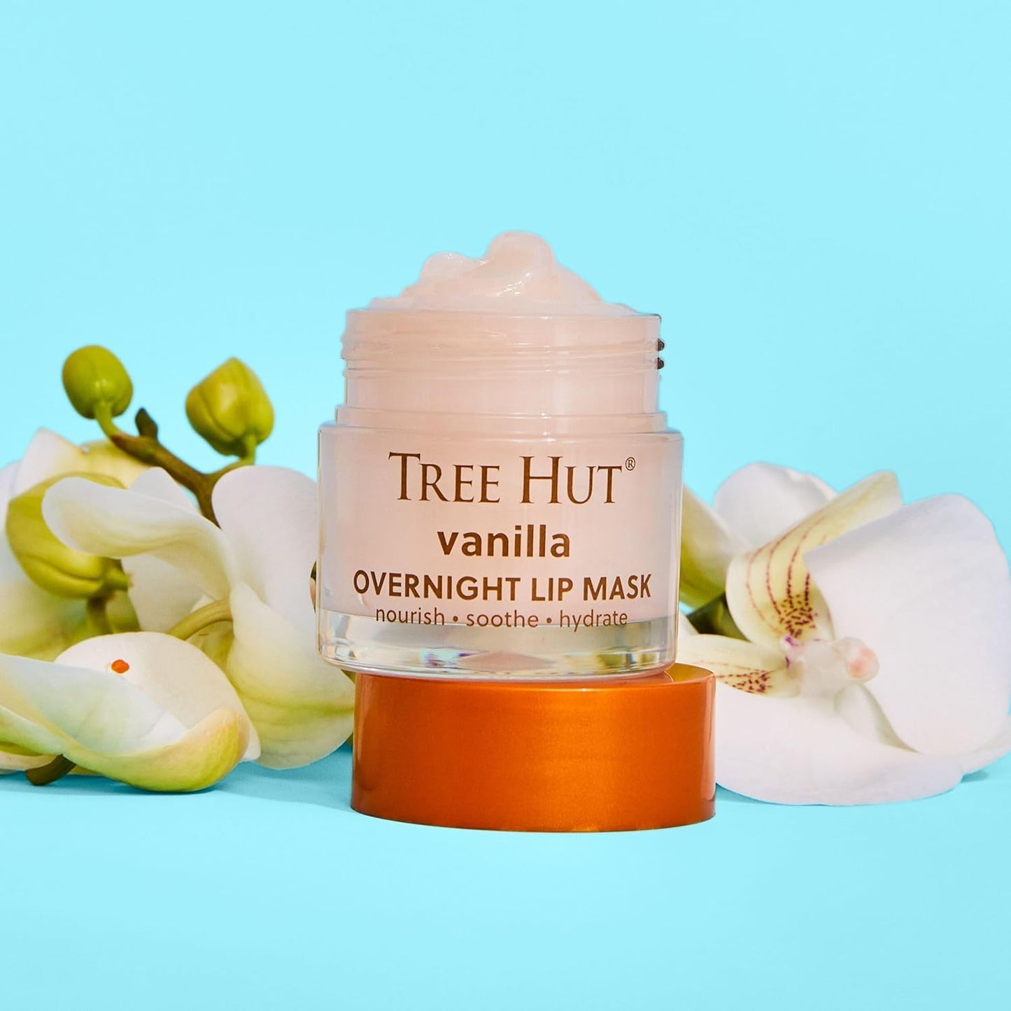 Tree Hut Vanilla Overnight Lip Mask - Hydrating Lip Treatment with Shea Butter & Vitamin E | 0.6 oz