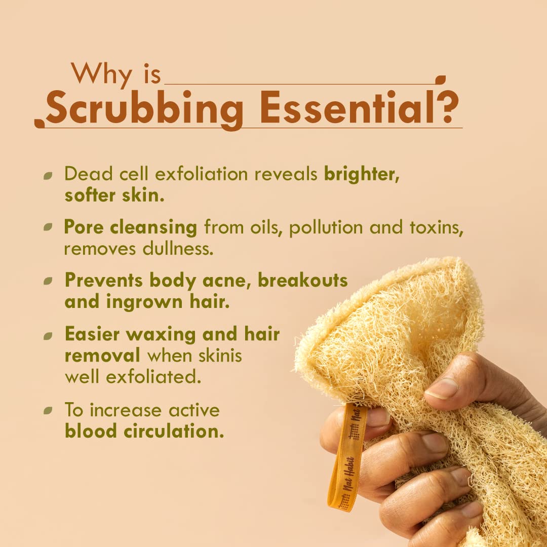 Nat Habit - Back to Natural Secrets Everyday Natural Sun Dried Bath Loofah, Body Sponge & Scrubber for Men & Women, Organic Luffa for Bath Shower Skin Exfoliation 2 Count (Pack of 1) Brown