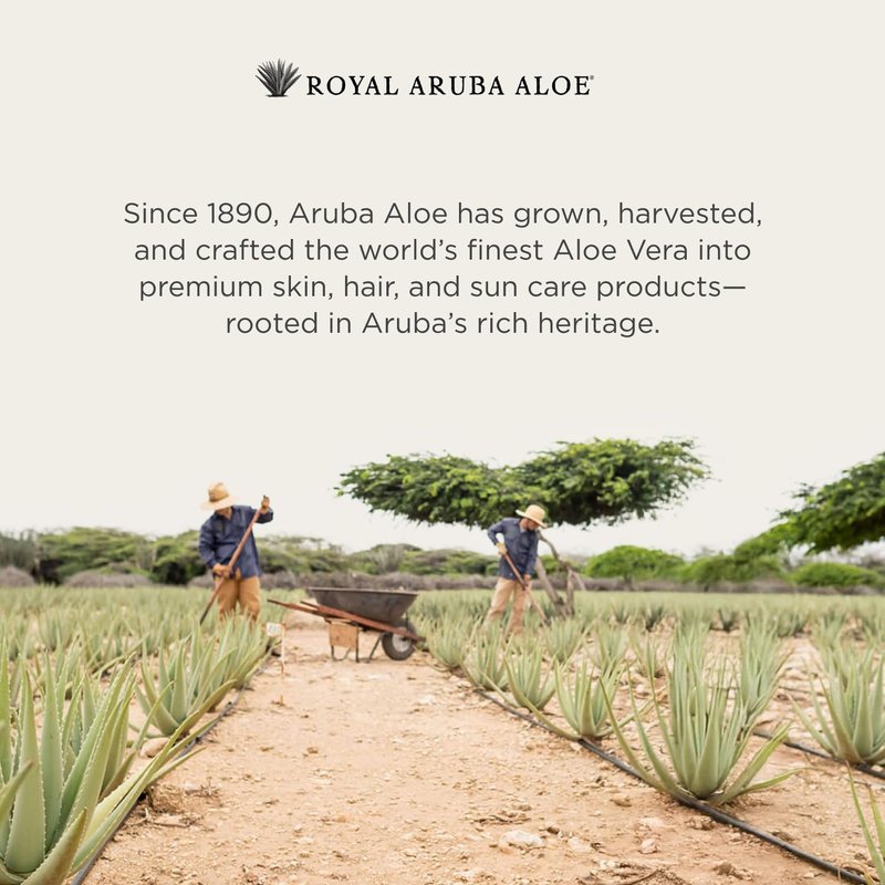 Aruba Aloe Hydrating Aloe Rich Sunscreen SPF 30 - Broad-Spectrum UVA/UVB Sunblock Lotion - Lightweight, Water-Resistant, Non-Greasy Sun Protection for Face and Body - 2 oz