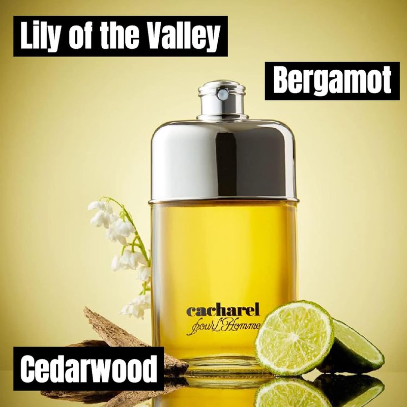 Cacharel Pour L'Homme Cologne for Men - Woody & Spicy Fragrance with Bergamot & Cedar | 3.4 Fl Oz