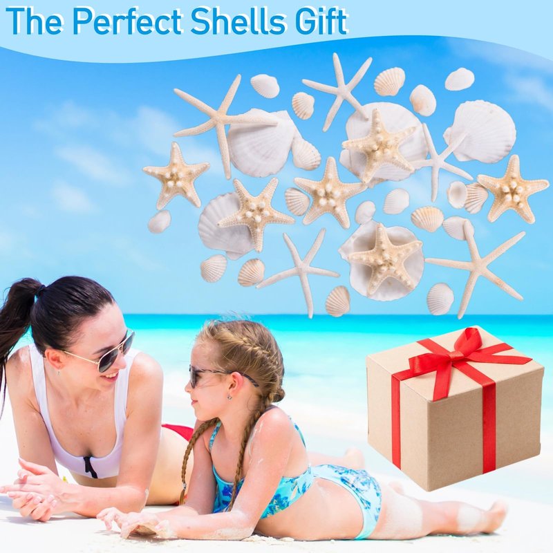 24PCS Sea Shells for Crafts Decoration - Real White Natural 2"-5" Scallop Shells and Starfish Coastal Christmas Craft Supplies, Beach Party, Painting, Easter DIY, Vase,Baking Shells, Birthday Gift