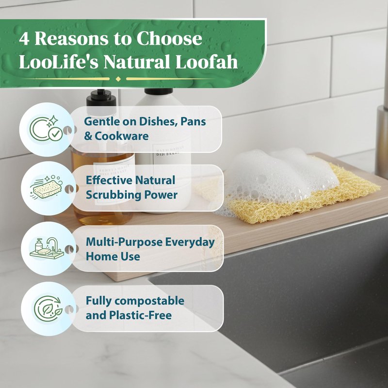 Natural Loofah Kitchen Sponge (XL - 10 Pack) - Natural Sponges for Dishes - Eco Friendly and Compostable Sponges - Biodegradable Plant Based Kitchen Dish Sponge - Plastic Free Dish Scrubber