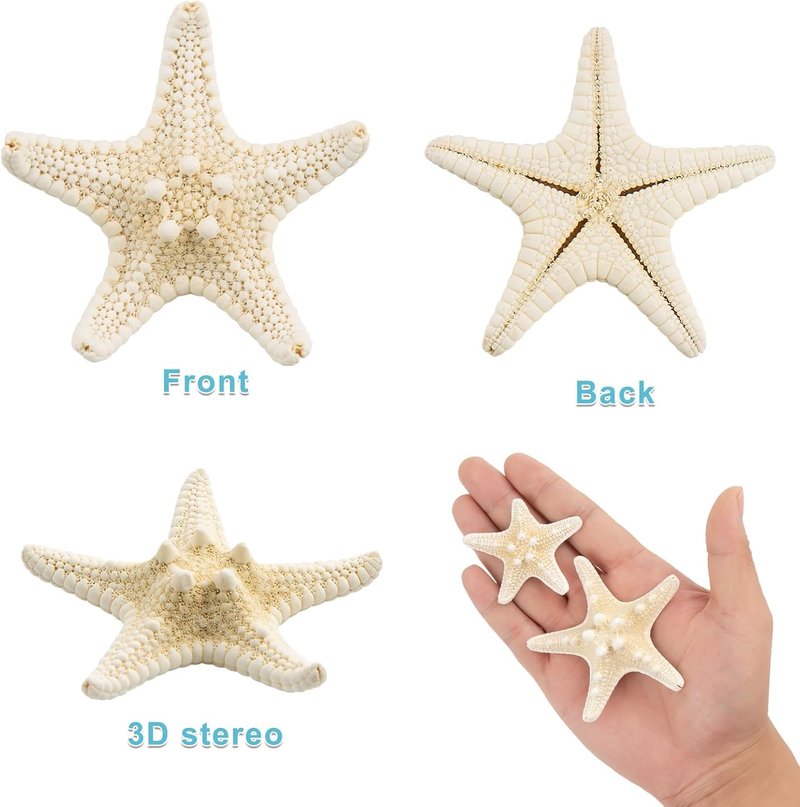 Natural Starfish for Crafts - 20PCS Bulk Decor for Wedding & Beach Theme | 1" to 3" Size