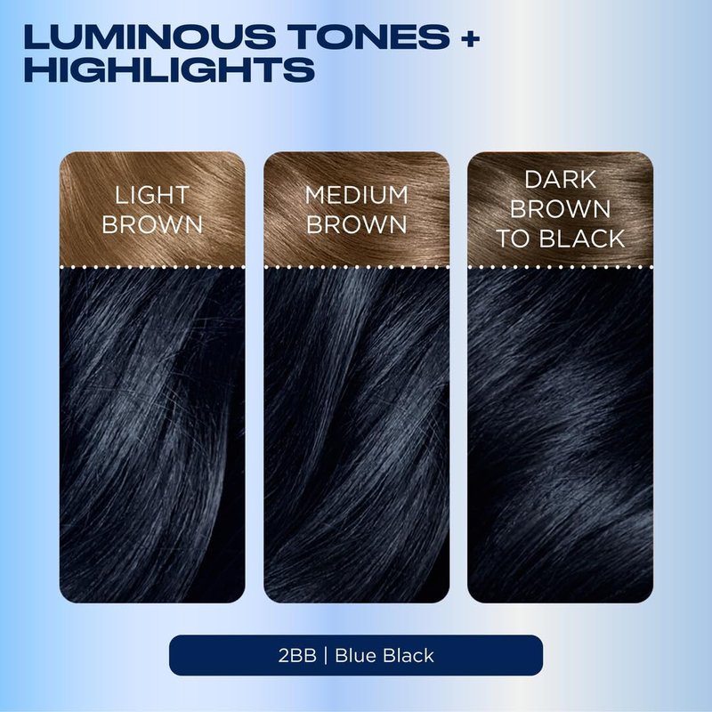 Clairol Nice'n Easy Permanent Hair Dye, 2BB Blue Black | 100% Gray Coverage | Long‑Lasting, Natural‑Looking Color & Shine | Pack of 1