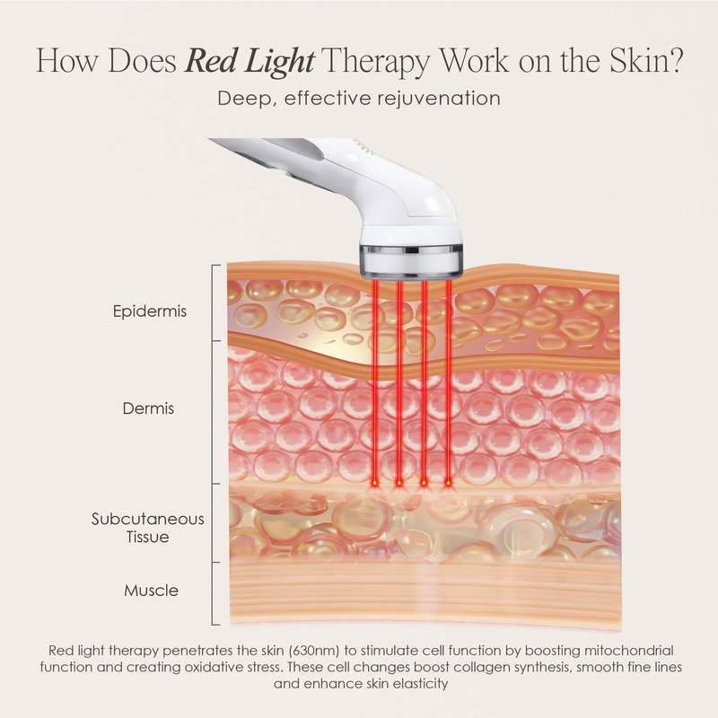 RED LED+ Anti-Aging Therapy by Project E Beauty | Collagen Boosting | Instant Firming and Lifting | Reduces Fine Lines & Wrinkles | Tightens & Tones | Rechargeable & Portable (Red LED Therapy)