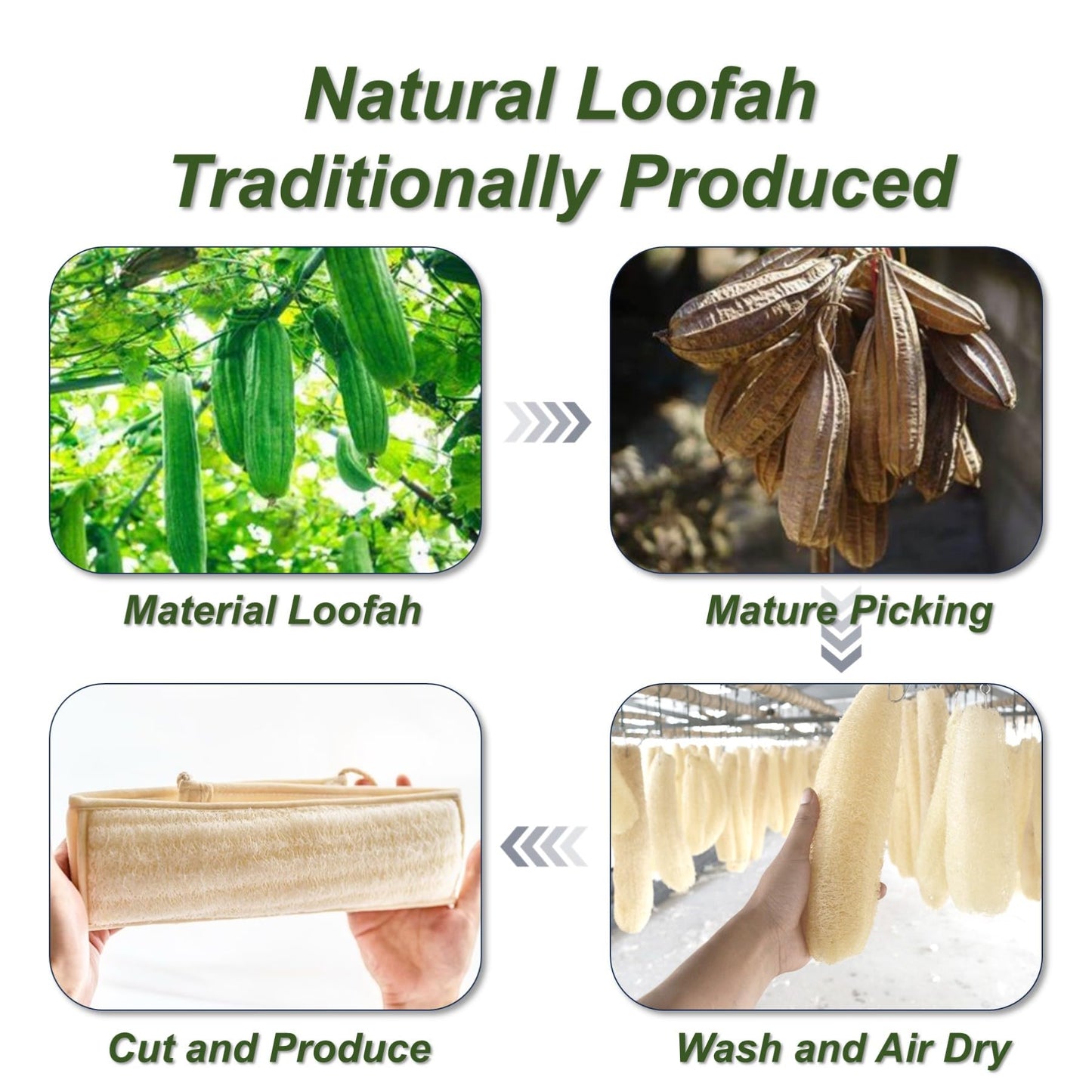 YUNKWONG Natural Loofah Sponge, Exfoliating Body Scrubber for Men Women, Loofah with Handle, Exfoliating Back Scrubber for Shower Set, Deeply Clean & Invigorate Your Skin (2 pcs in Box)