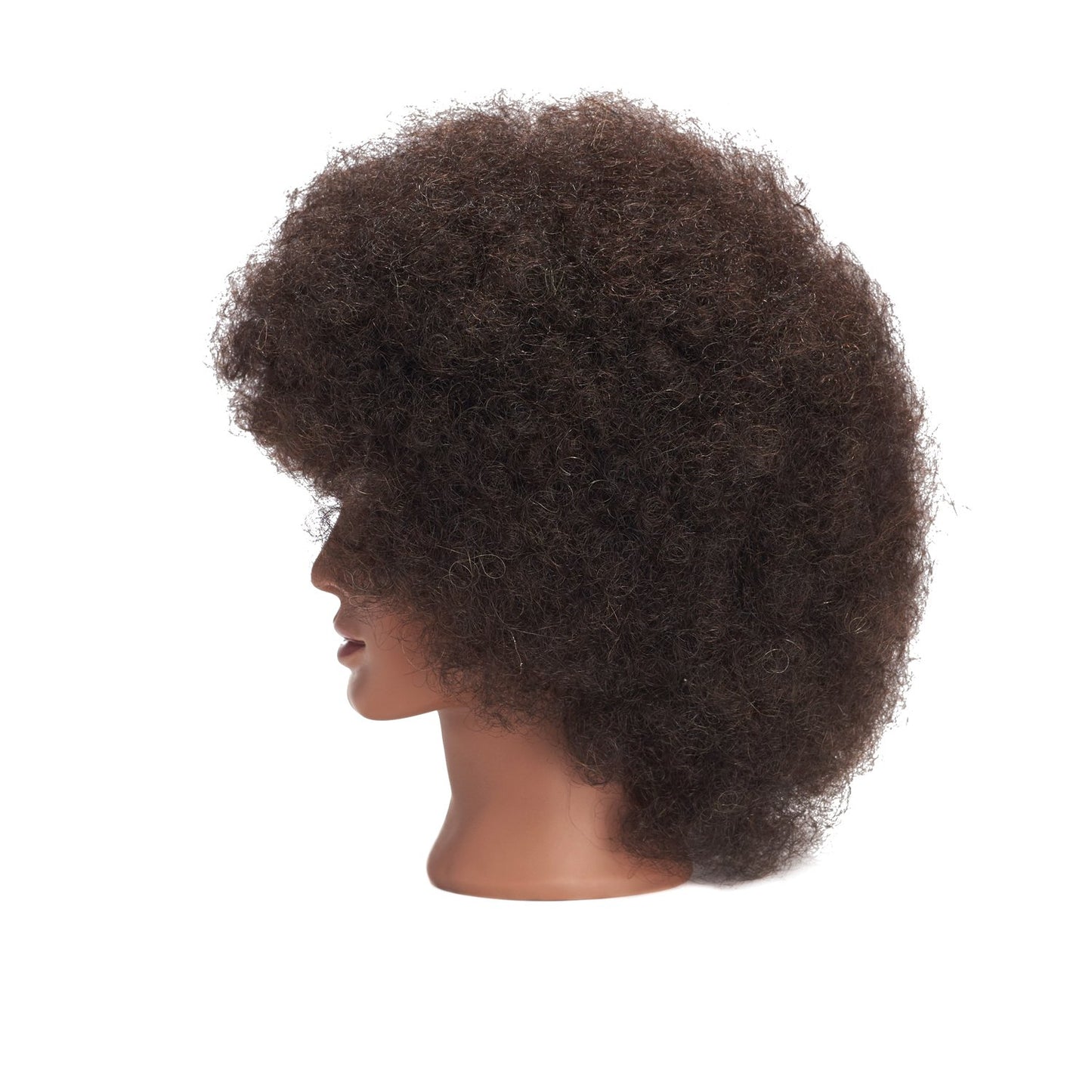 Traininghead 100% Real Hair Mannequin Head - Cosmetology Practice Doll with Free Clamp Holder | 10-Inch Afro Hair
