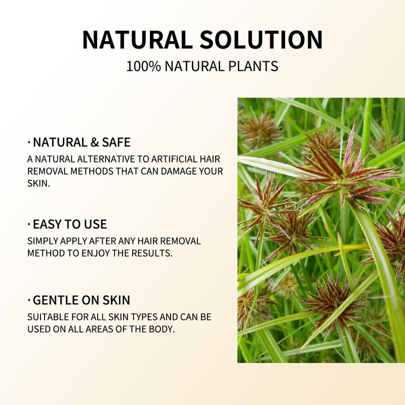 Cyperus Rotundus Oil, Hadea cyperus hair removal oil Natural Hair Removal Solution Reducing Body Hair Growth, Smooth Skin & Moisturizing for All Skin Types