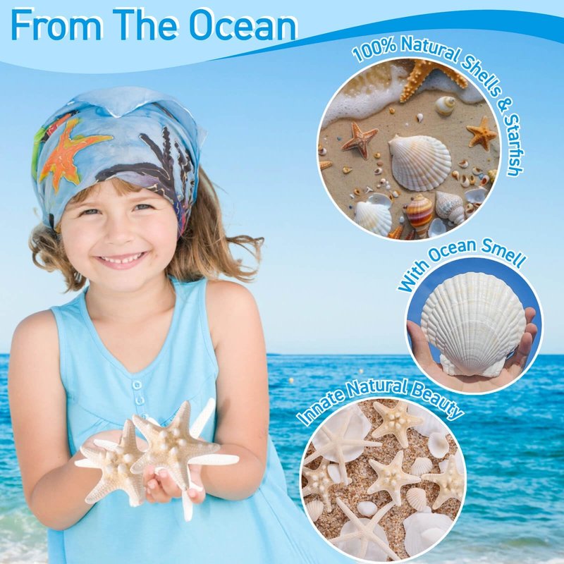 24PCS Sea Shells for Crafts Decoration - Real White Natural 2"-5" Scallop Shells and Starfish Coastal Christmas Craft Supplies, Beach Party, Painting, Easter DIY, Vase,Baking Shells, Birthday Gift