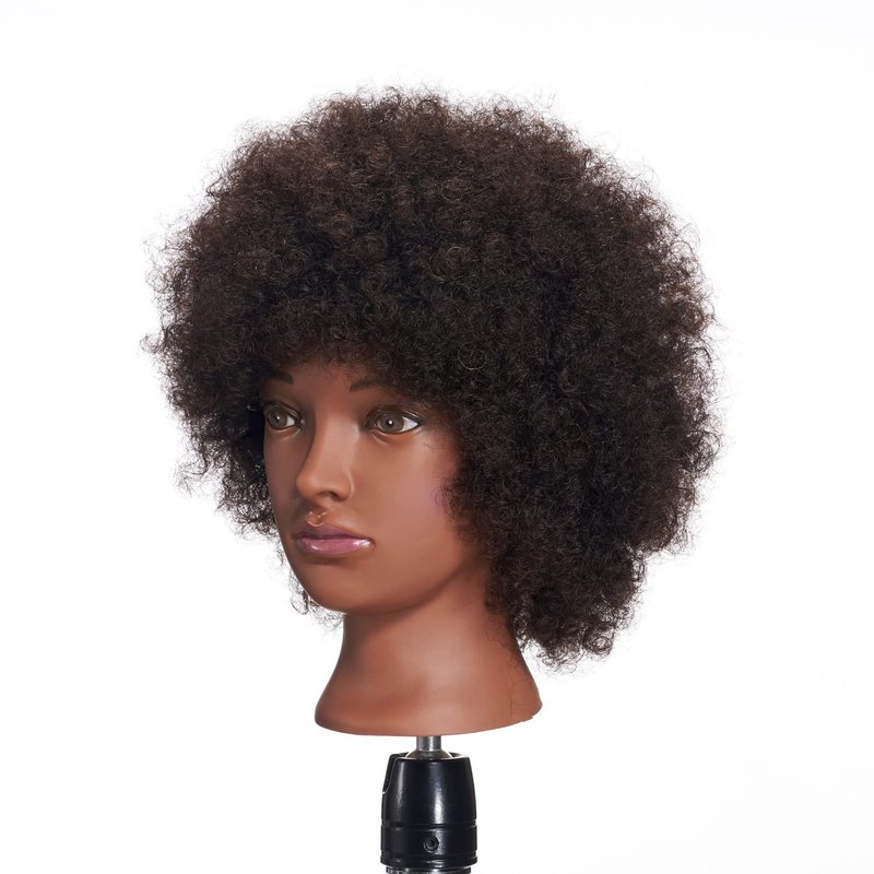 Skiennix Afro Mannequin Head - 100% Human Hair Training Doll for Cosmetology | Includes Clamp Stand