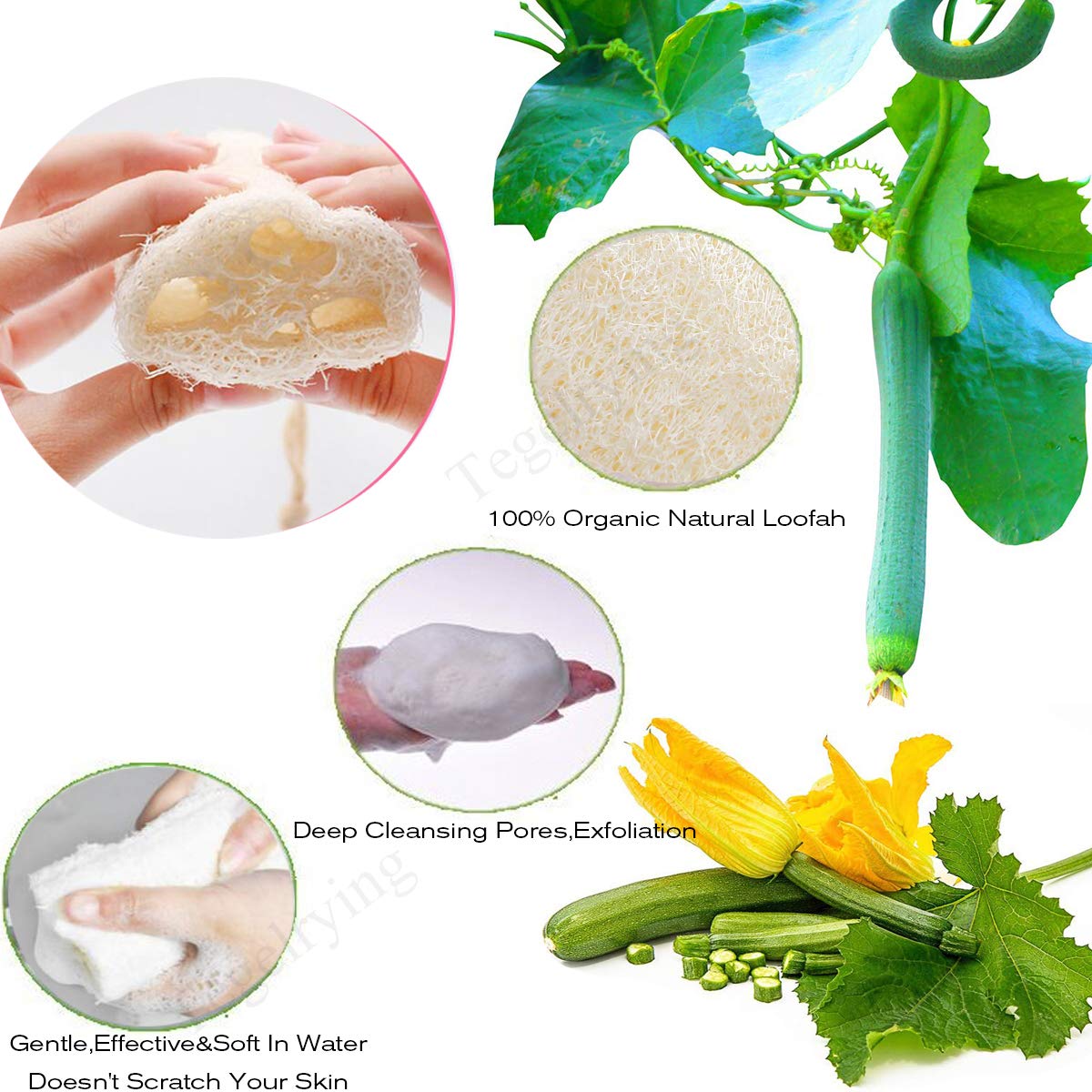 Tegelrying Loofah Sponge Exfoliating,6 Packs Natural Loofa Large Back Scrubber for Men Women Bath Shower Body Skin Care Cleansing Luffa 5 inches Long