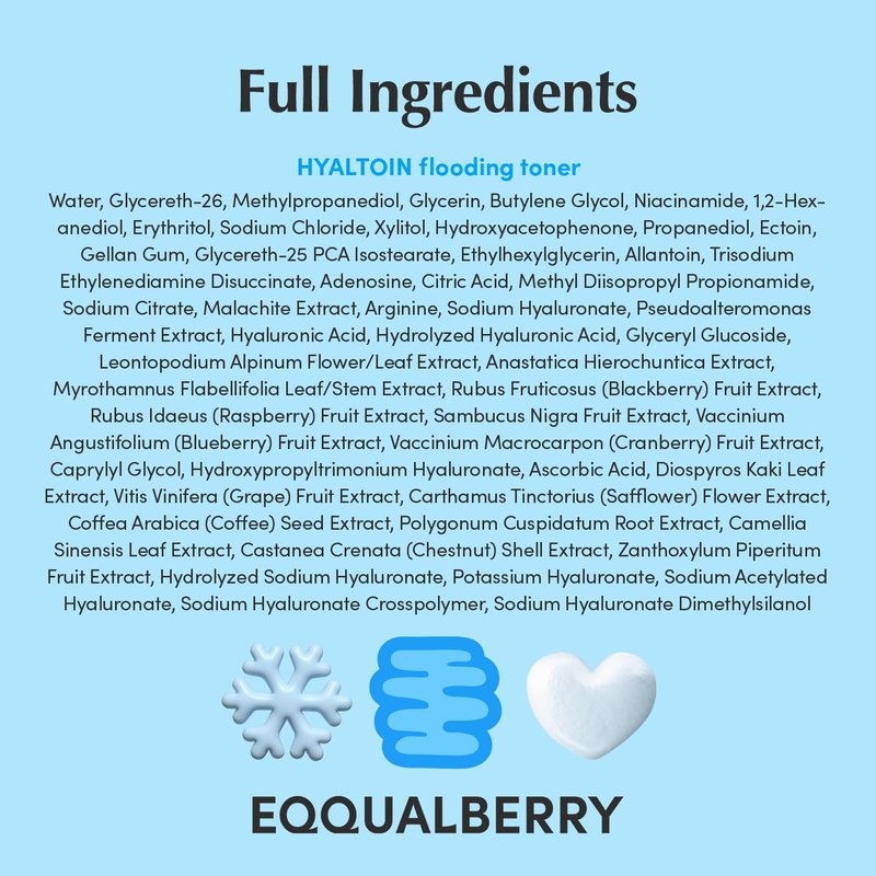 EQQUALBERRY Hyaltoin Flooding Toner | Moisture-Rich Hydrogel Toner for Deep Hydration | Cooling Essence Texture | Hyaluronic Acid & Ectoin | Makeup-Ready Skin (5.07 fl.oz / 150ml)