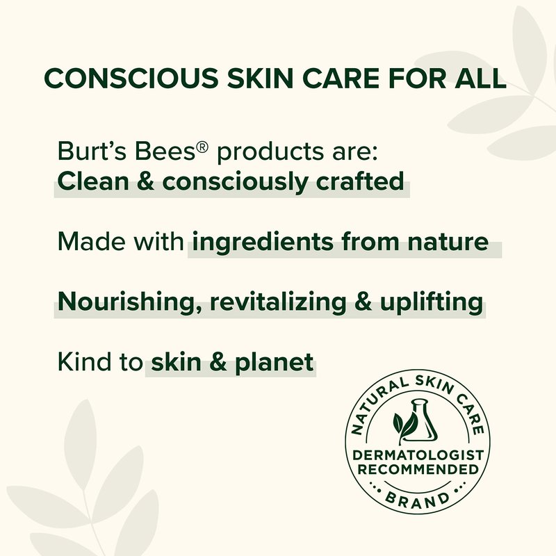 Burt's Bees Shea and Aloe Moisturizing Lip Balm, Lip Moisturizer With Responsibly Sourced Beeswax, Tint-Free, Natural Origin Conditioning Treatment, 4 Tubes, 0.15 oz.