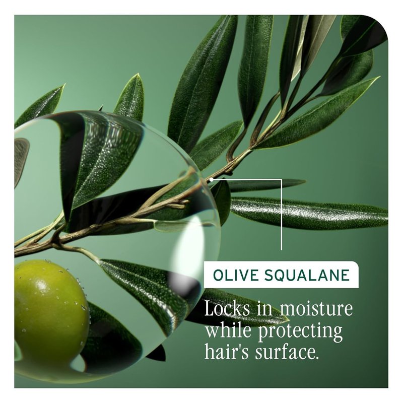 Biolage Winter Rescue Kit - Hydra Source and Strength Cure Mini Shampoo, Conditioner and Scalp Sync Concentrate, Hydrates and Repairs Damage, For Healthy Scalp And Strong Hair