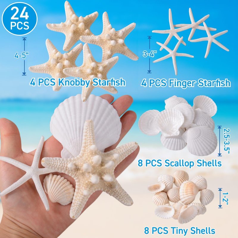 24PCS Sea Shells for Crafts Decoration - Real White Natural 2"-5" Scallop Shells and Starfish Coastal Christmas Craft Supplies, Beach Party, Painting, Easter DIY, Vase,Baking Shells, Birthday Gift