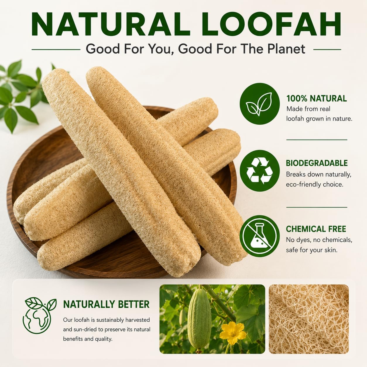 VEROMOVE Extra Long Natural Loofah Sponge, Dried Luffa Shower Sponge, Cut-to-Size Plant Fiber Body Scrubber for Exfoliating