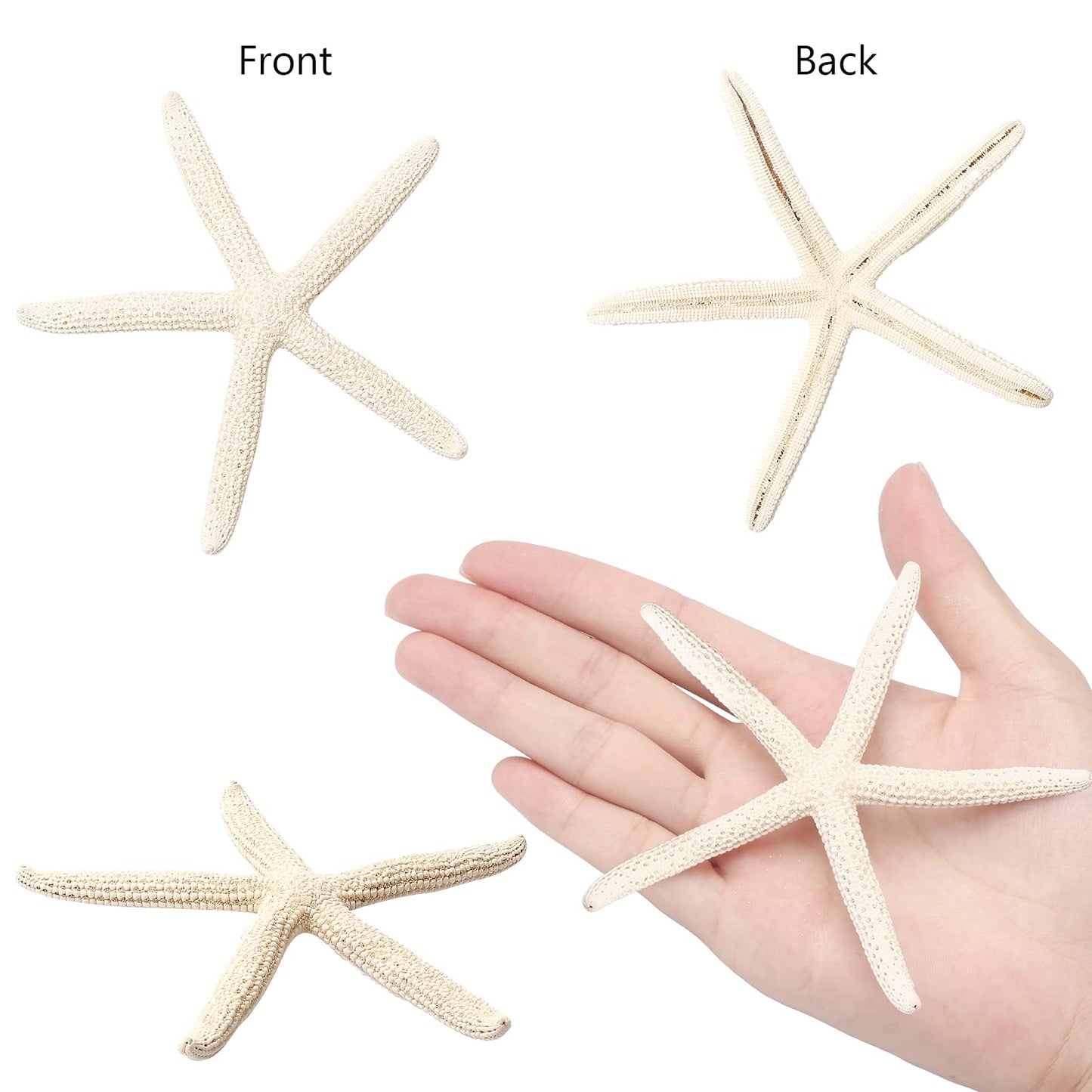 UEIEU 12 PCS Starfish | 2.5-6 Inch Starfish Decor | Natural Bulk Starfish Shells Perfect for Crafts Making Beach Theme Party Wedding Decoration, Home Wall Decor, Christmas Ornaments, Fish Tank