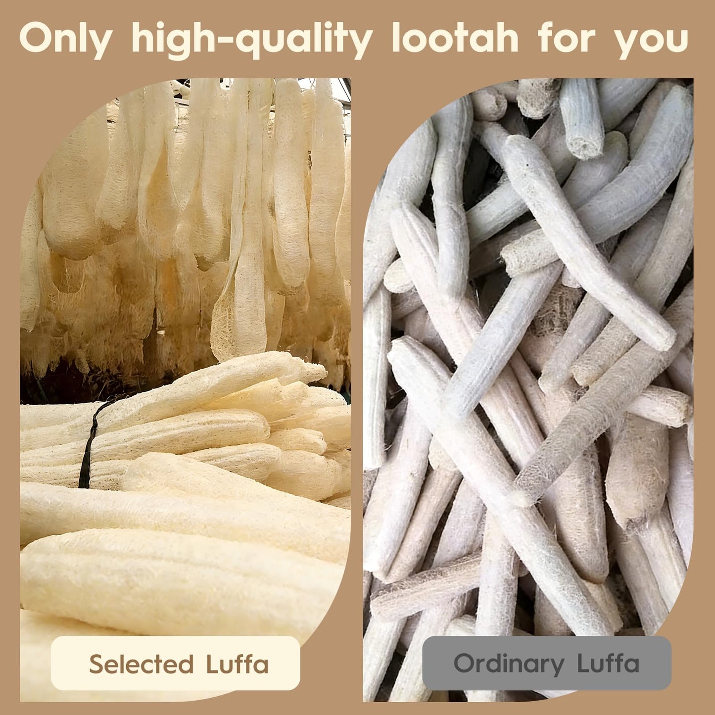 EMCHEIKE Natural Loofah Exfoliating Body Scrubber with Adhesive Hook Natural Egyptian Shower Loofah Sponge Thin and Soft Travel Loofah Sponge for Women & Men (3 Packs)