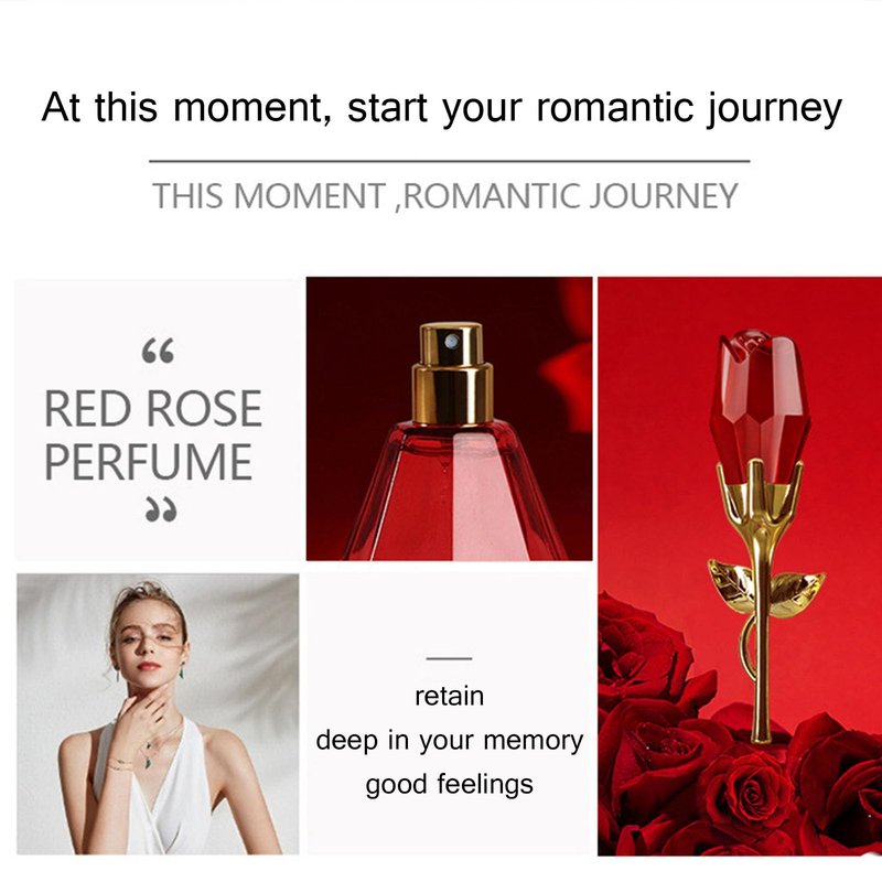 CLY AMS Red Rose Perfume for Women - Eau De Parfum, Musk, Honey, Wine, Light Fragrance Fresh Floral, Perfume Oil 50ml