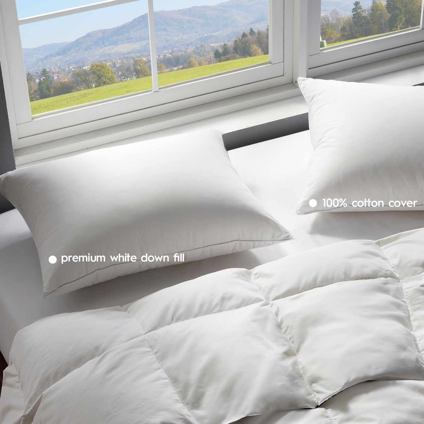Globon Ultra Soft Down Pillow Queen Size, Premium Down Filled Bed Pillow for Sleeping, 100% Cotton Shell 500 Thread Count 700 Fill Power, Soft Hotel Collection Down Feather Pillow 20" x 30" 1 Pack