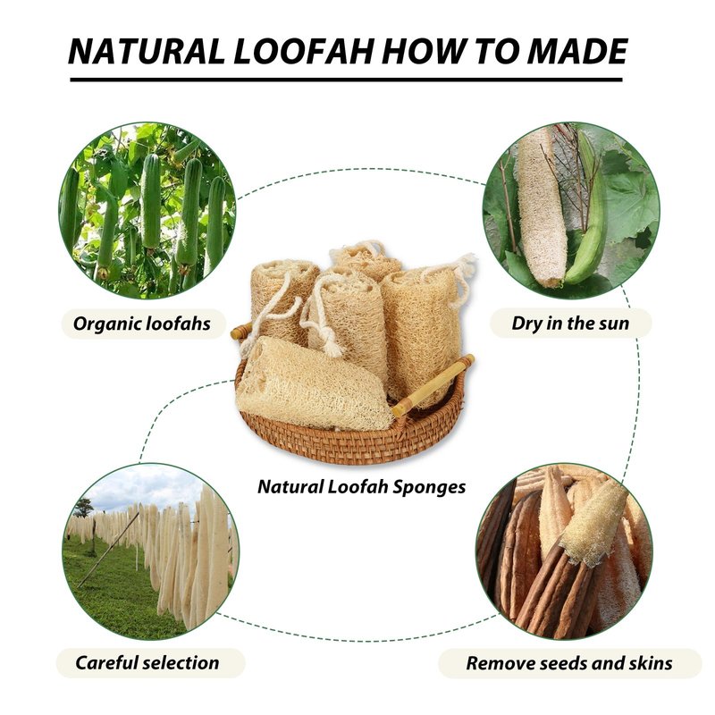 Balifeel Natural Loofah Sponge Organic Loofa Set 6 Pack,Exfoliating Body Scrubber Shower Luffa Men and Women for Bath Cleaning Skin Back and Face Eco Tool
