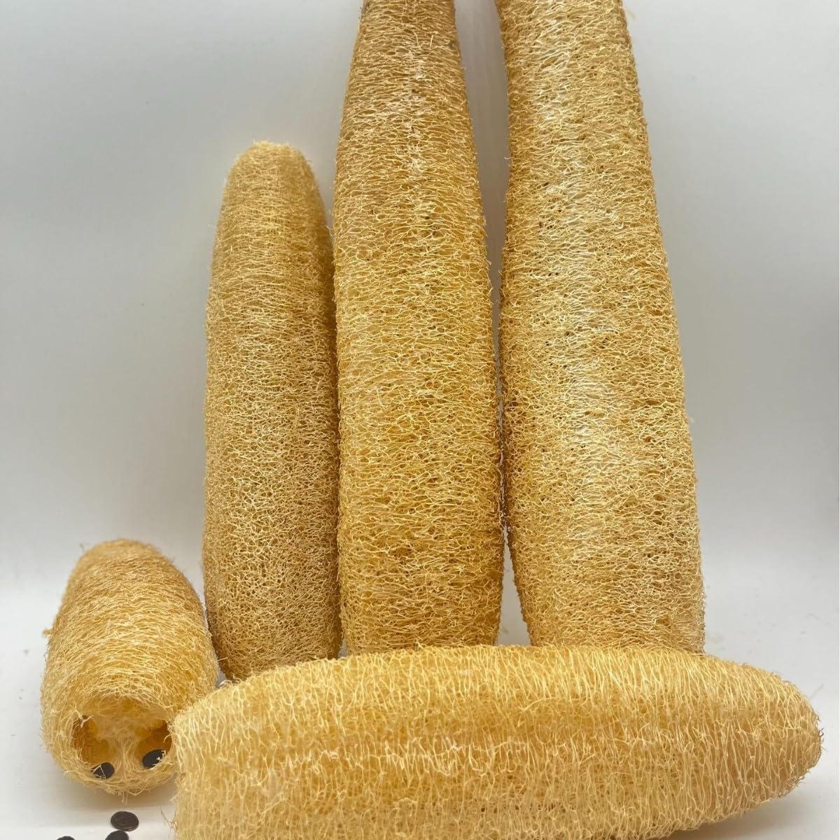 Spoojie Natural Egyptian Loofah Sponge (2-Pack) - Exfoliating Body Scrubber for Women & Men, Organic Plant-Based Bath Sponge for Face, Body & Back Cleaning - Gentle Exfoliation for Soft Skin
