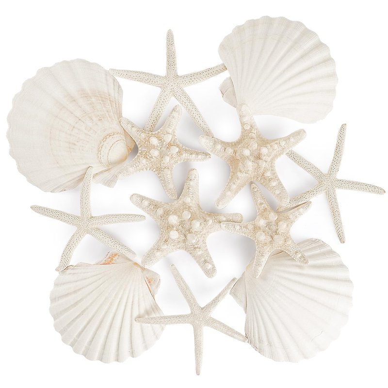 PPCLION 12 PCS Natural Starfish 4-5" and Scallop Shell for Crafts Making Beach Theme Party Wedding Decoration, Home Wall Decor, Christmas Ornaments
