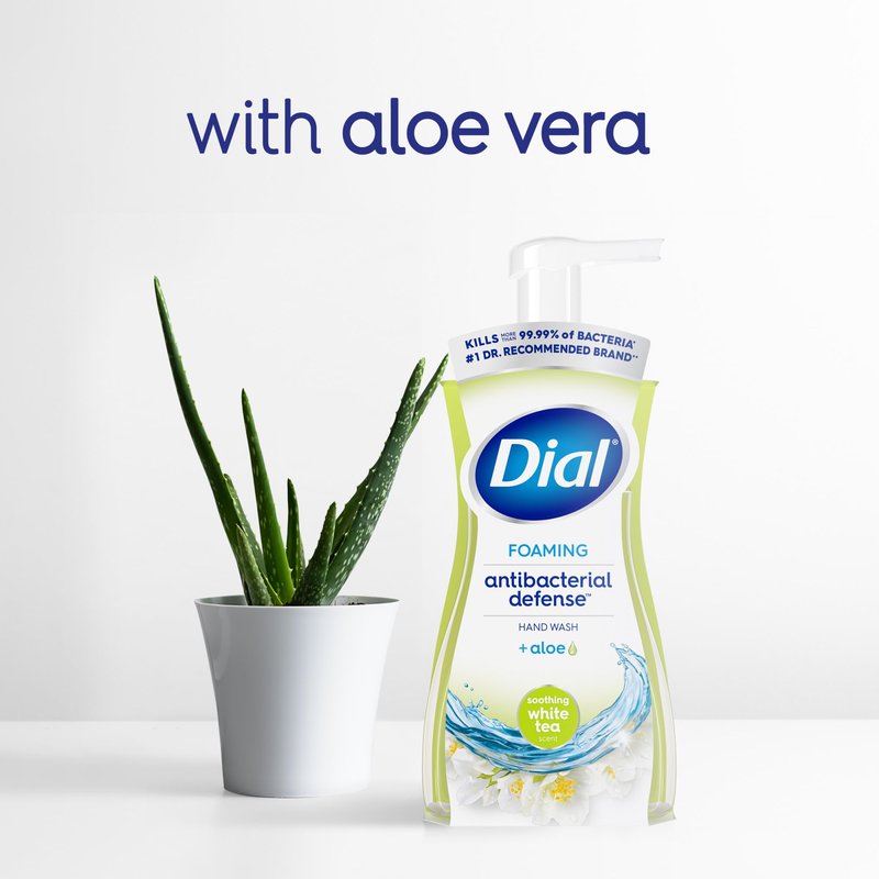 Dial Antibacterial Defense Foaming Hand Soap + Aloe, Soothing White Tea, 30 Fl Oz Hand Soap Refill (Pack of 4), Dermatologist-Tested, Gentle on Skin