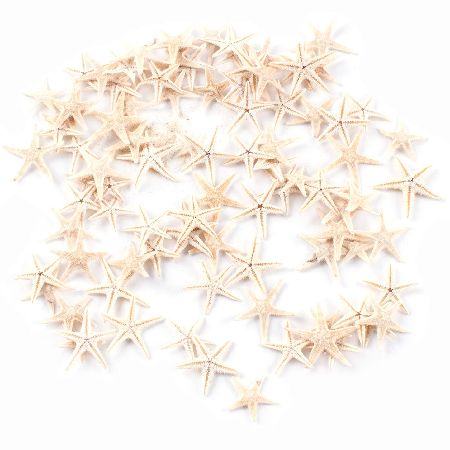 Super Z Outlet Tiny Miniature Fairy Garden Beach Critter Starfish Marine Life Collection for Arts & Crafts Projects, Decorations, Party Favors, Invitations - 90 Pieces