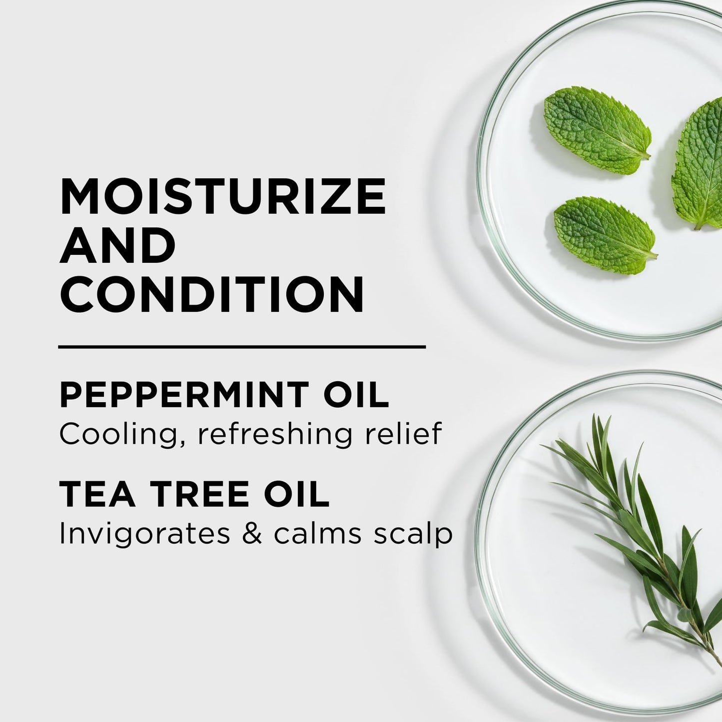 Style Factor LockBOOSTER Scalp Moisturizing Oil – Lightweight Hydration with Peppermint & Tea Tree Oil for revitalizing Braids, Locs & Twists – Soothes, Nourishes and Supports Scalp Care – 4 oz