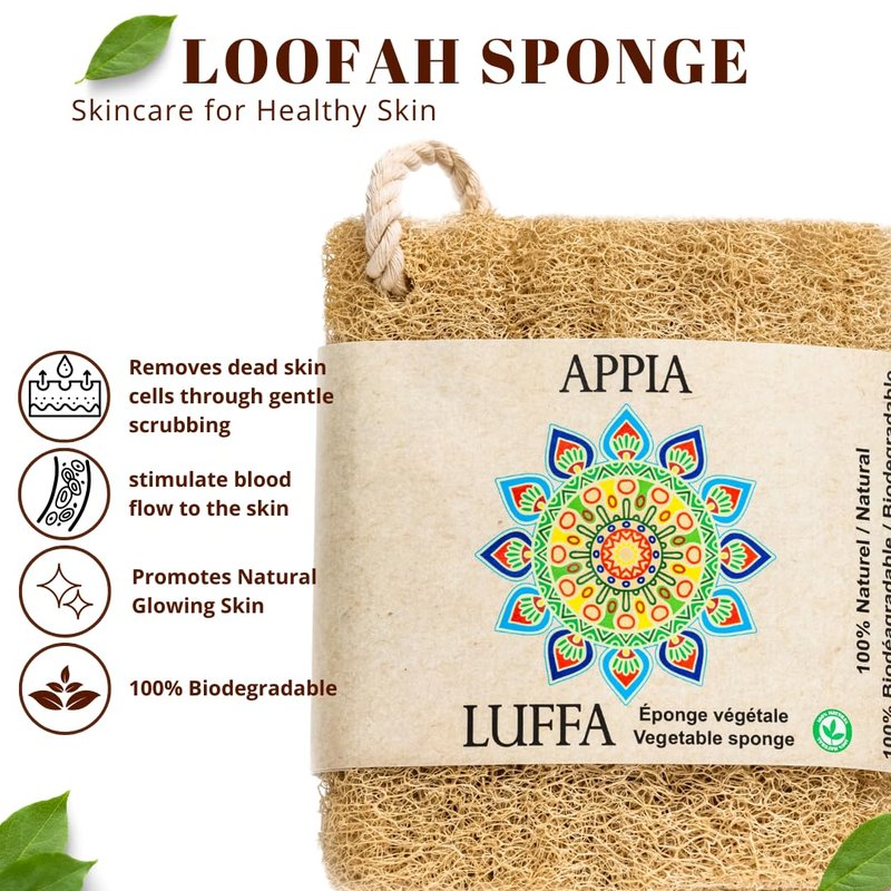 Premium Organic Loofah Sponge Medium 6“ | Loofah for Bath & Shower | Body Scrubber for Shower Scrubbing | Eco Friendly 100% Natural & Biodegradable | Daily Skin Cleansing Care for Women and Men