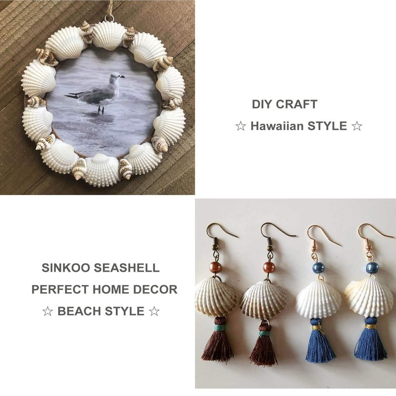 SINKOO Bulk Natural White Small Seashell Clam Super Shells Assortment for DIY Craft Beach Decor