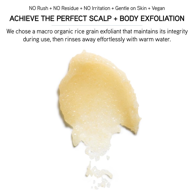 ILES FORMULA Scalp + Body Exfoliant – Luxury Scalp Scrub & Exfoliating Body Scrub – Gentle, Rejuvenating Exfoliating Scrub to Remove Buildup & Smooth Skin with Vitamin E & Kiwi Extract - Residue Free