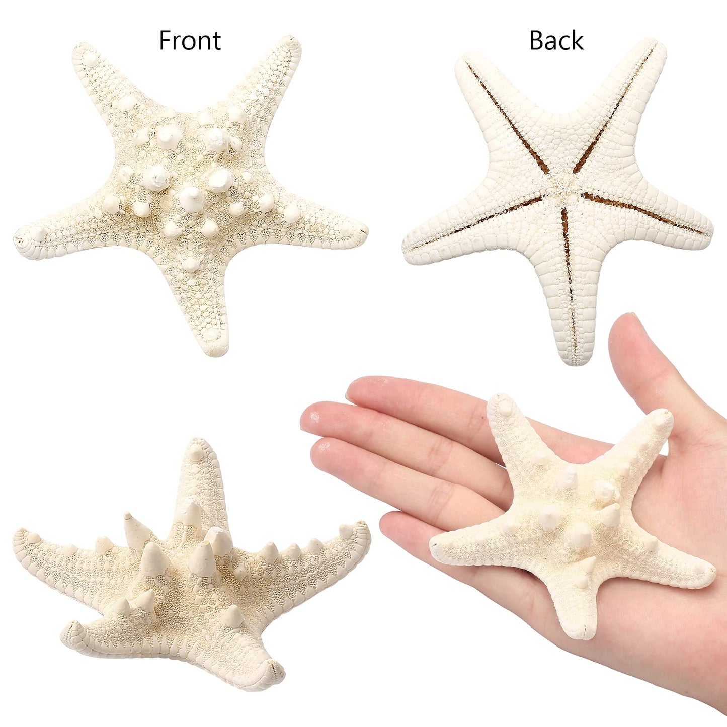 UEIEU 12 PCS Starfish | 2.5-6 Inch Starfish Decor | Natural Bulk Starfish Shells Perfect for Crafts Making Beach Theme Party Wedding Decoration, Home Wall Decor, Christmas Ornaments, Fish Tank