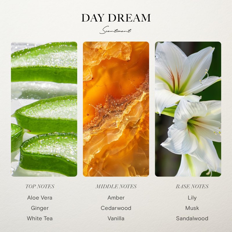 Scentiment Day Dream Diffuser Oil – Aloe Vera, Cedar, White Tea Scent for Diffusers, Fragrance Oil – 16.91 fl oz (500 mL)